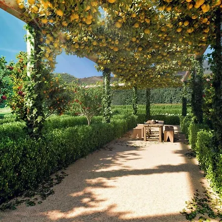 Mara's Higueron West - - Like A House With Private Graden Apartament *