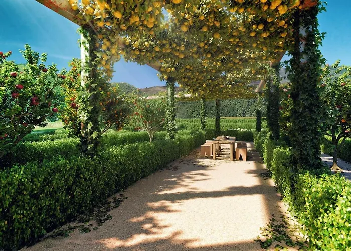 Mara's Higueron West - - Like A House With Private Graden Apartment *